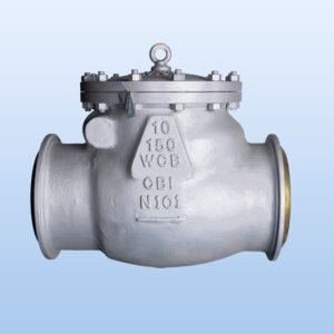 Check Valve